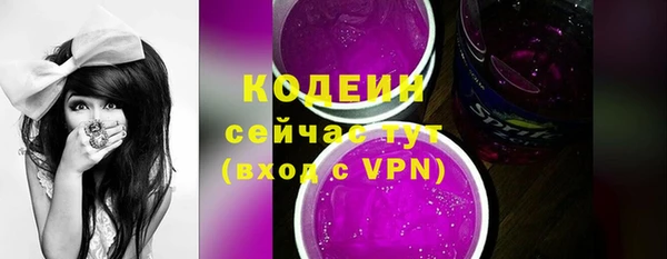 хмурый Няндома